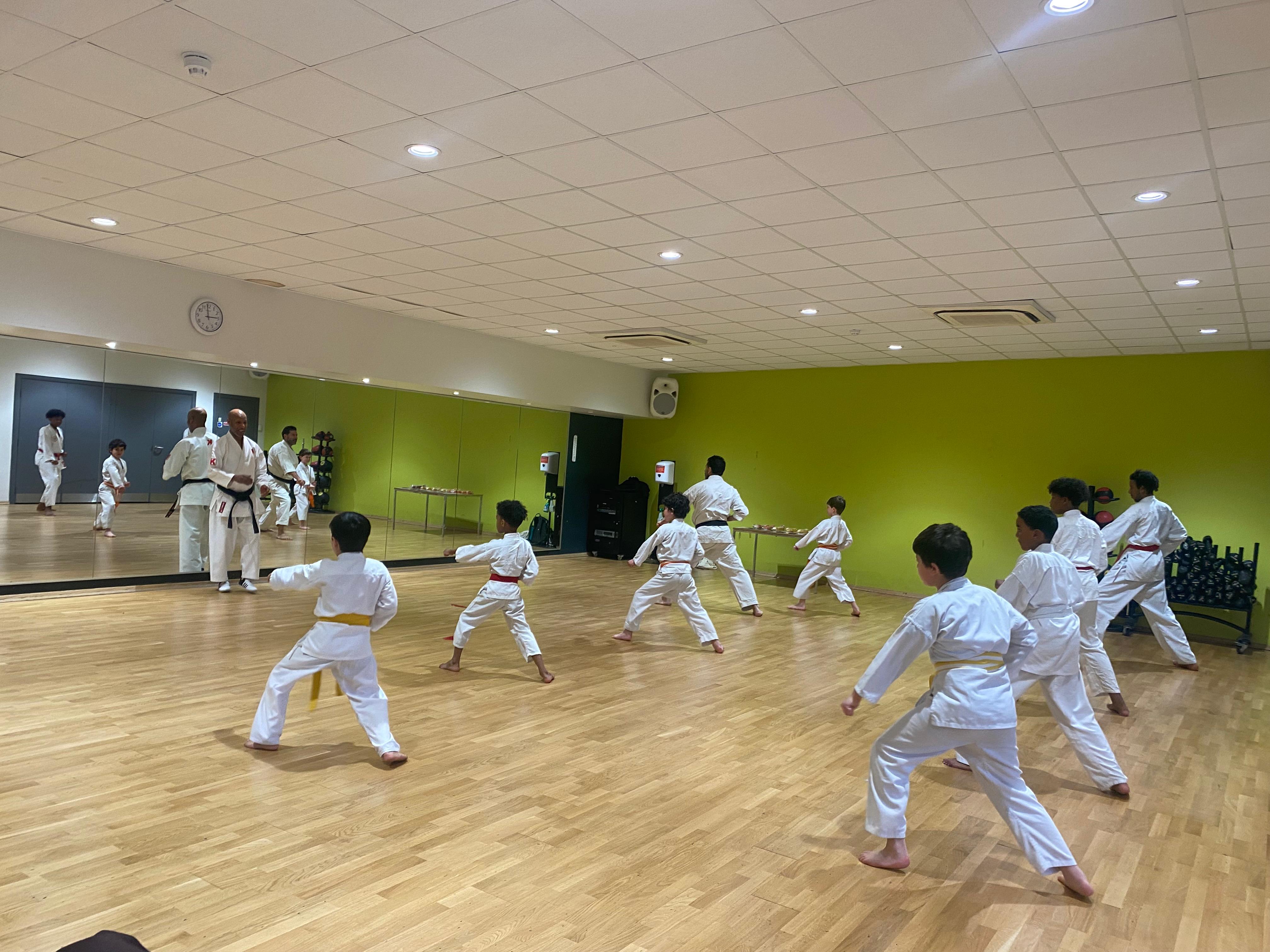Shotokan karate mission