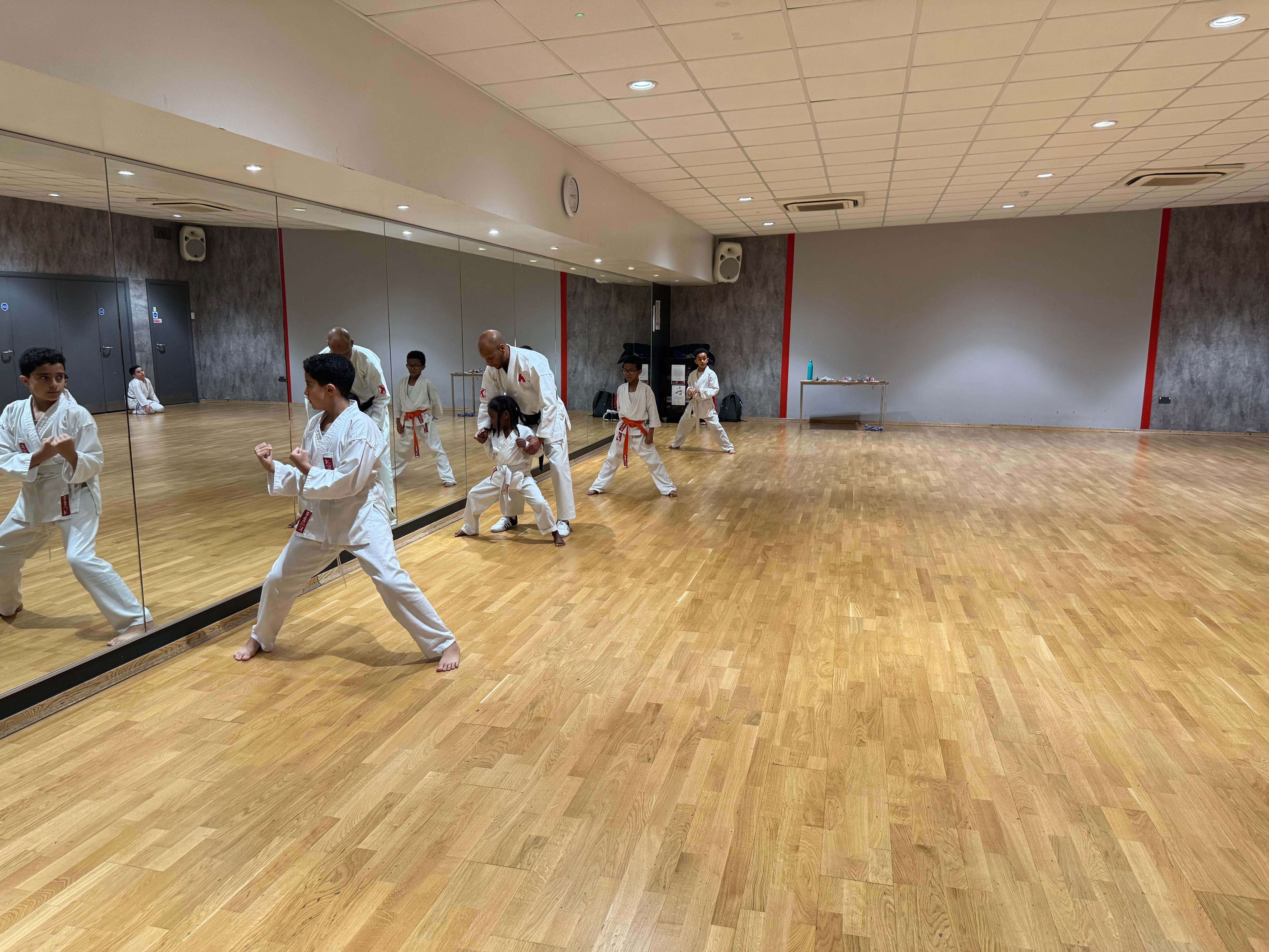 Shotokan karate